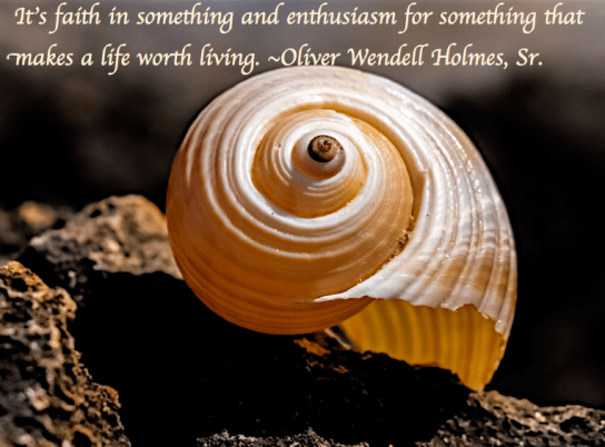 Screen Shot 2017-11-08 at 9.26.03 PM.png