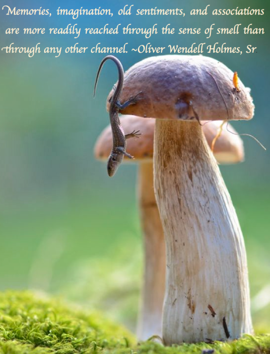 Screen Shot 2017-11-08 at 9.34.08 PM.png