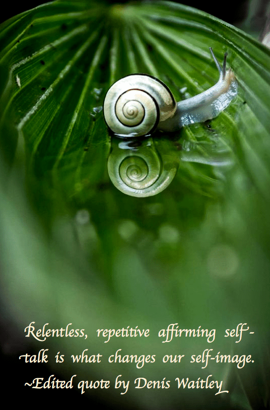 Screen Shot 2017-11-08 at 9.40.14 PM.png