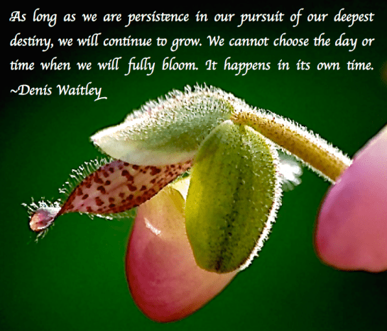 Screen Shot 2017-11-09 at 9.10.18 PM.png