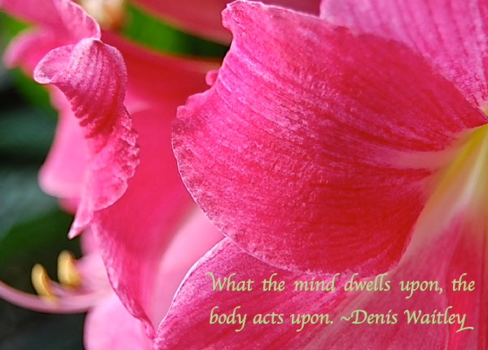 Screen Shot 2017-11-09 at 9.12.35 PM.png