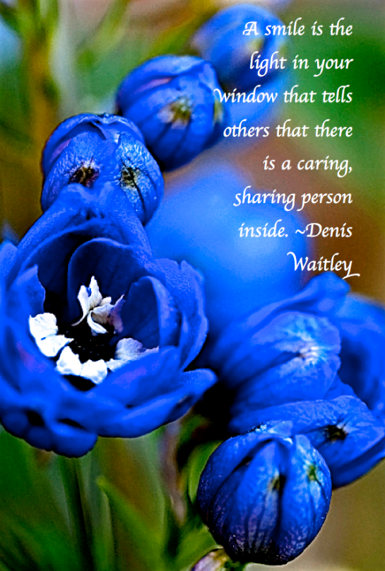 Screen Shot 2017-11-09 at 9.15.28 PM.png