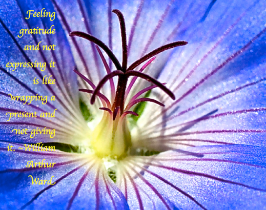 Screen Shot 2017-11-09 at 9.18.28 PM.png