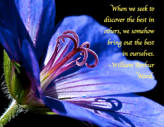 Screen Shot 2017-11-09 at 9.22.35 PM.png