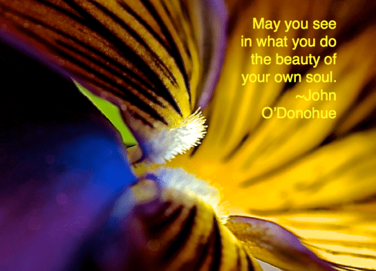 Screen Shot 2017-11-09 at 9.25.45 PM.png