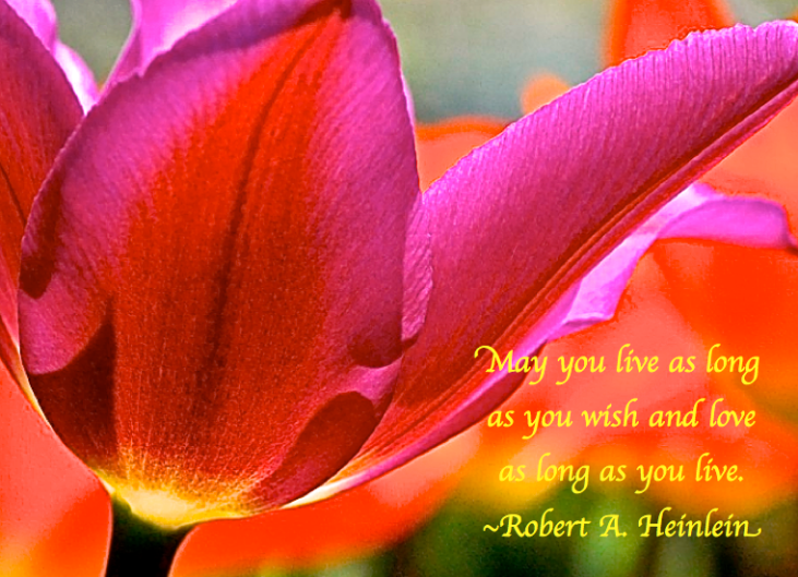 Screen Shot 2017-11-11 at 9.11.40 PM.png