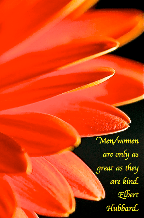 Screen Shot 2017-11-11 at 9.18.02 PM.png