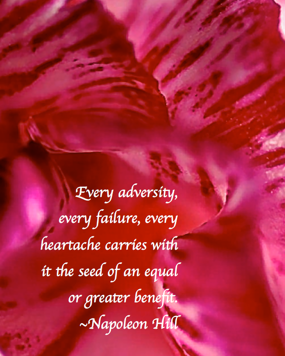 Every adversity… | Sacred Touches