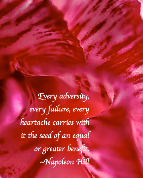 Screen Shot 2017-11-11 at 9.22.31 PM.png