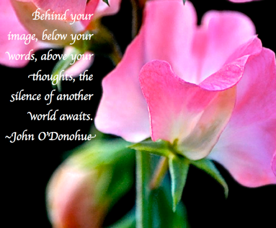 Screen Shot 2017-11-11 at 9.36.49 PM.png