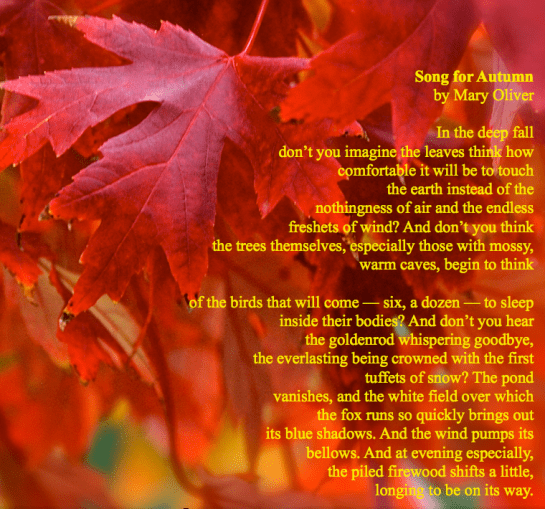 Screen Shot 2017-11-12 at 4.02.12 PM.png