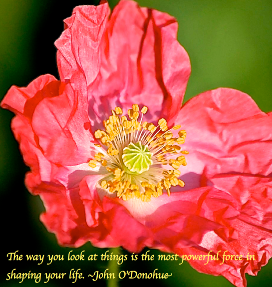 Screen Shot 2017-11-14 at 9.11.18 PM.png