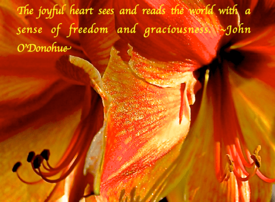 Screen Shot 2017-11-14 at 9.13.07 PM.png