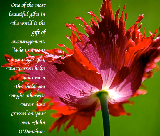 Screen Shot 2017-11-14 at 9.17.34 PM.png