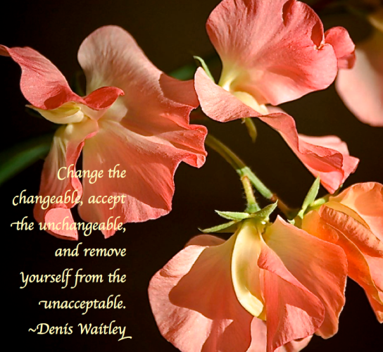 Screen Shot 2017-11-14 at 9.20.19 PM.png