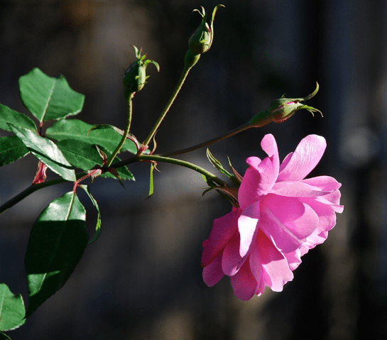 Screen Shot 2017-11-15 at 11.09.17 PM.png