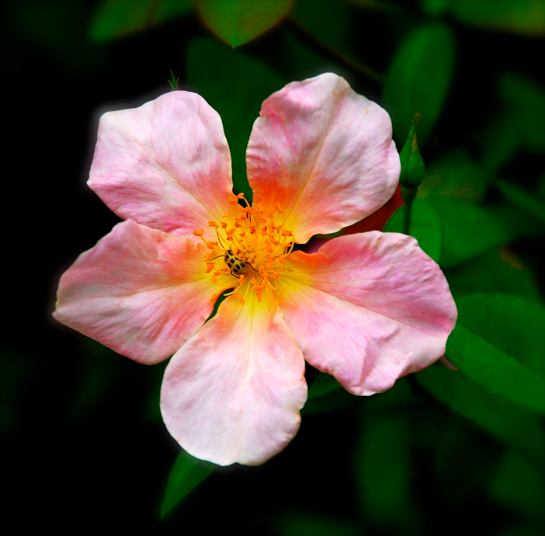 Screen Shot 2017-11-15 at 11.17.07 PM.png