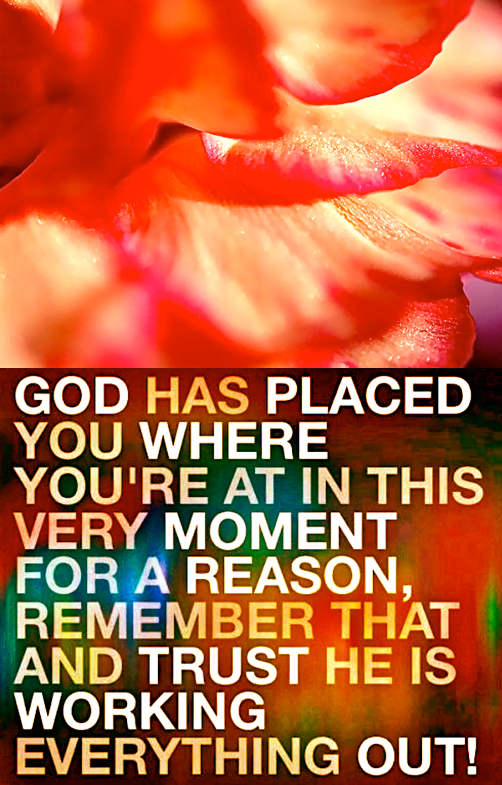 Screen Shot 2017-11-16 at 10.29.14 PM.png