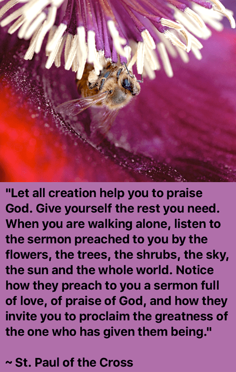 Screen Shot 2017-11-16 at 10.32.05 PM.png