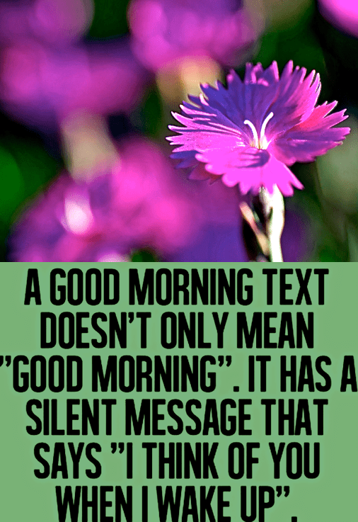 Screen Shot 2017-11-16 at 10.40.11 PM.png