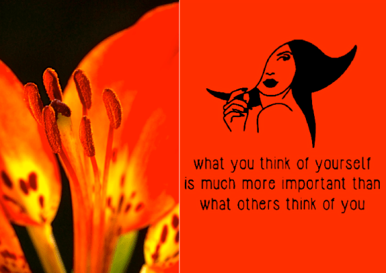 Screen Shot 2017-11-16 at 10.45.39 PM.png