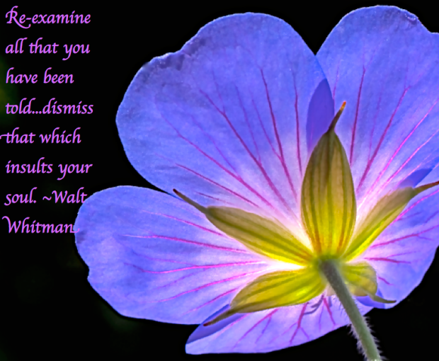 Screen Shot 2017-11-16 at 11.00.39 PM.png