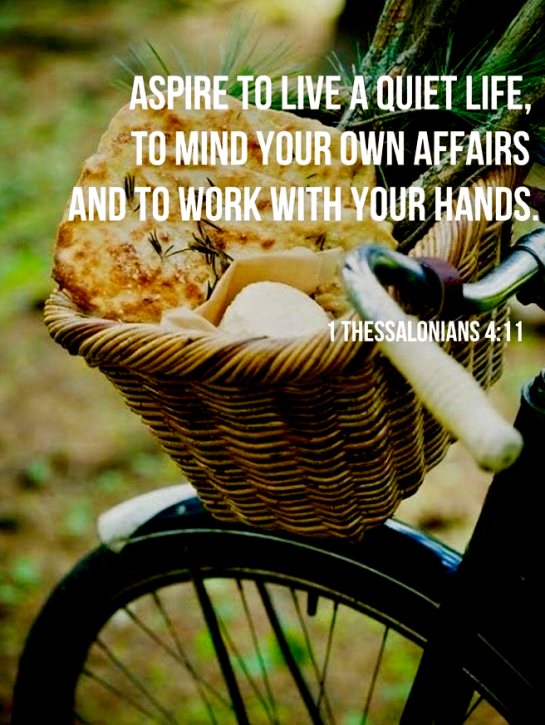 Screen Shot 2017-11-16 at 8.56.49 PM.png