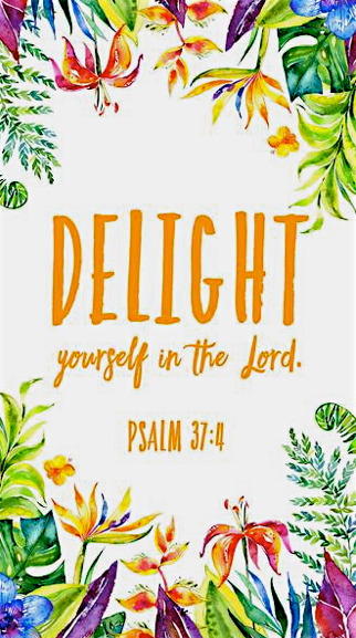 Screen Shot 2017-11-19 at 3.40.04 PM.png