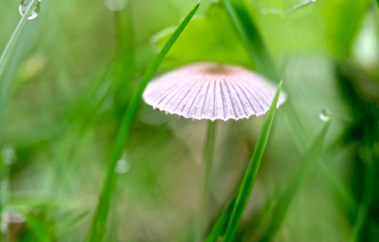 Screen Shot 2017-11-19 at 9.27.01 AM.png