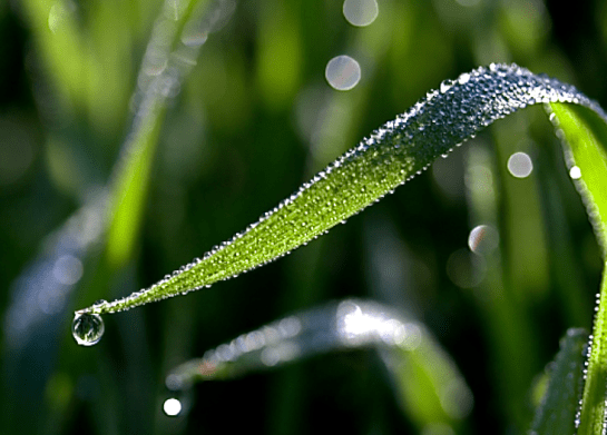 Screen Shot 2017-11-19 at 9.28.01 AM.png