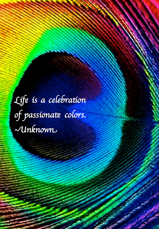 Screen Shot 2017-11-20 at 10.03.10 PM.png