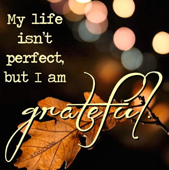 Screen Shot 2017-11-21 at 7.40.59 PM.png