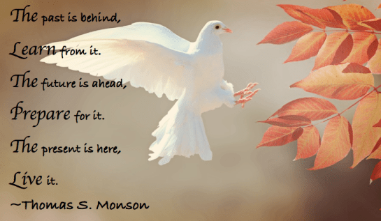 Screen Shot 2017-11-21 at 8.30.17 PM.png