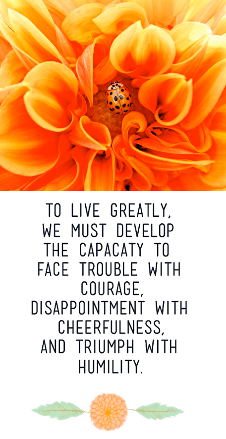 Screen Shot 2017-11-21 at 8.34.35 PM.png