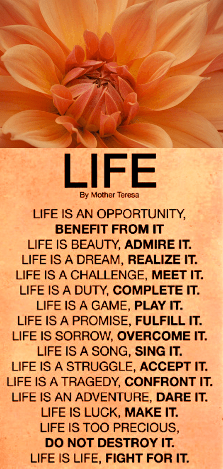 Screen Shot 2017-11-21 at 8.38.17 PM.png