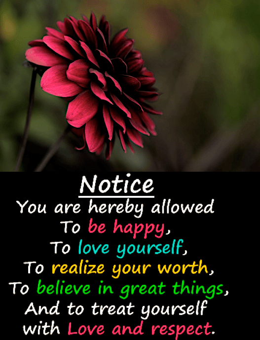 Screen Shot 2017-11-21 at 8.42.59 PM.png