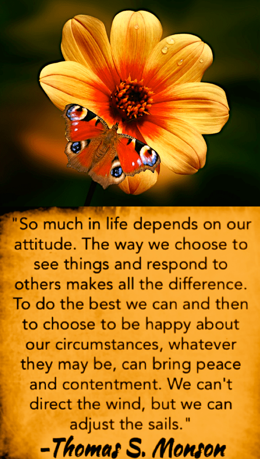 Screen Shot 2017-11-21 at 9.01.01 PM.png