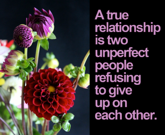 Screen Shot 2017-11-21 at 9.17.28 PM.png