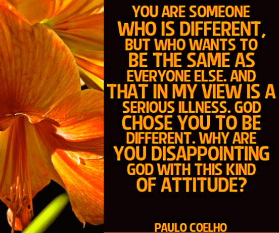 Screen Shot 2017-11-26 at 10.56.10 PM.png