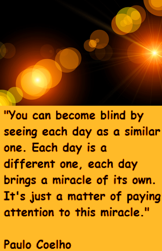 Screen Shot 2017-11-26 at 11.33.30 PM.png