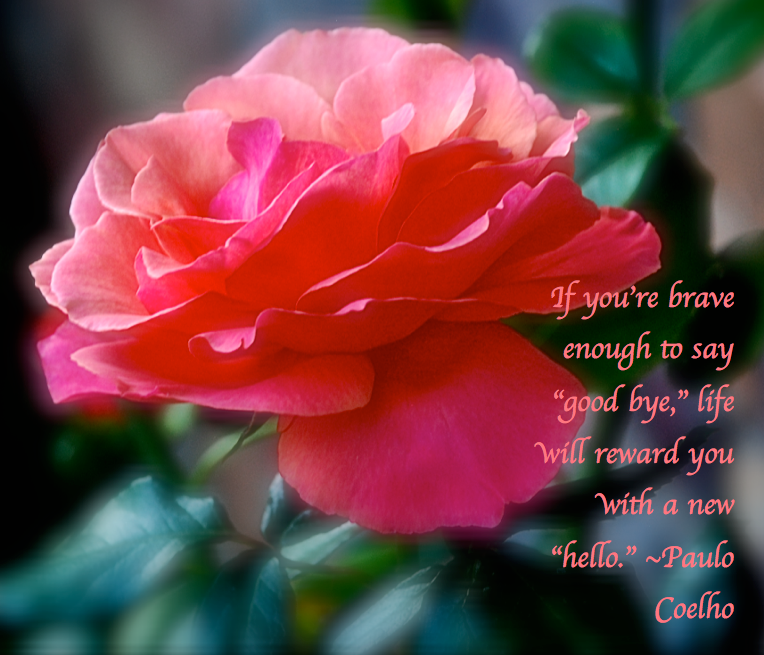 Screen Shot 2017-11-28 at 6.13.06 PM.png