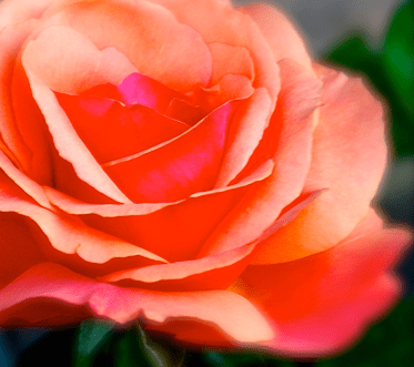 Screen Shot 2017-11-29 at 10.45.30 PM.png