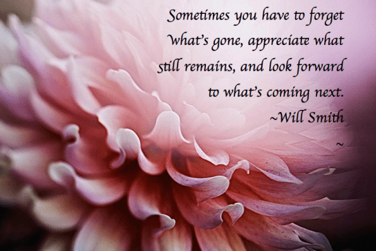 Screen Shot 2017-11-30 at 11.09.19 PM.png