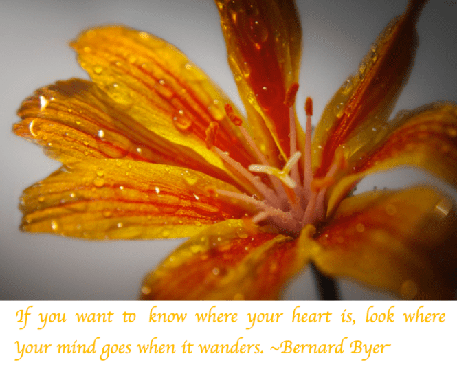 Screen Shot 2017-11-30 at 11.23.28 PM.png