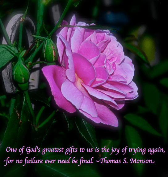 Screen Shot 2017-11-30 at 11.28.53 PM.png