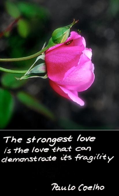 Screen Shot 2017-11-30 at 4.13.55 PM.png