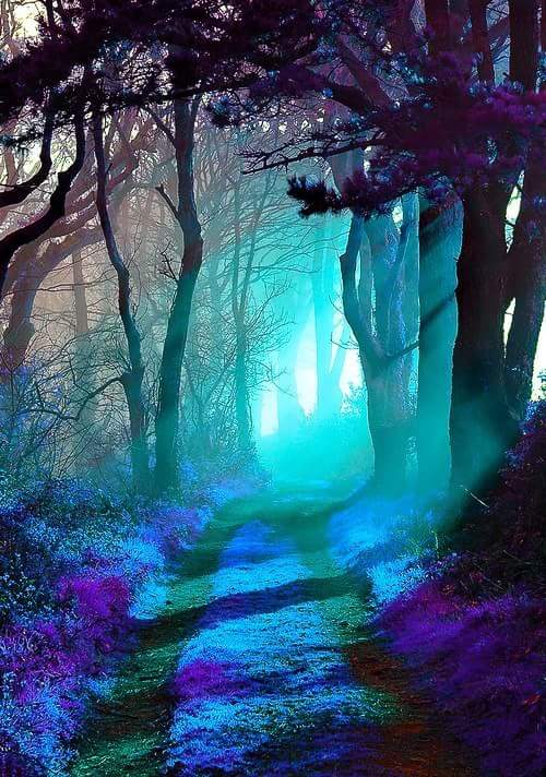 25395978_1637749266245268_9016928352045089100_n