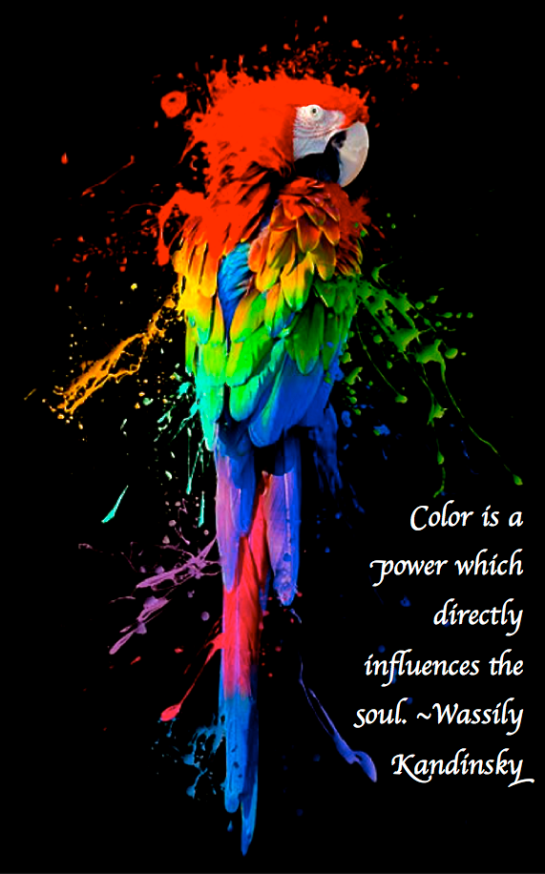 Screen Shot 2017-12-02 at 10.26.42 PM.png