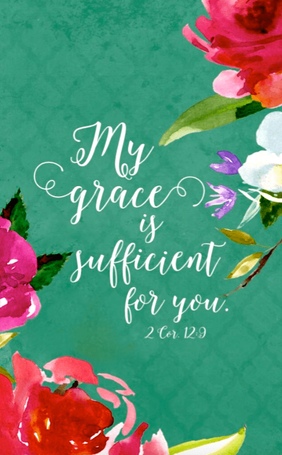 Screen Shot 2017-12-03 at 7.34.56 PM.png