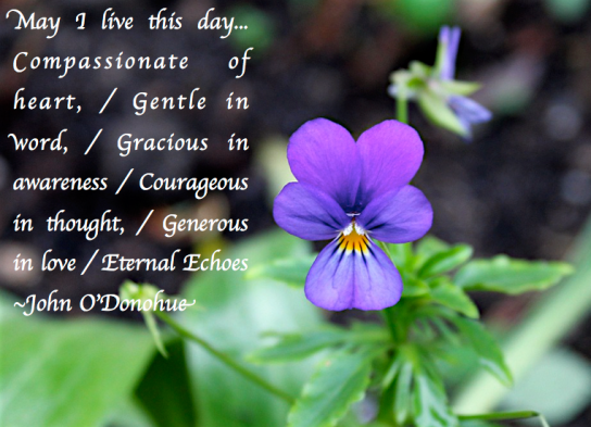 Screen Shot 2017-12-04 at 9.14.45 PM.png